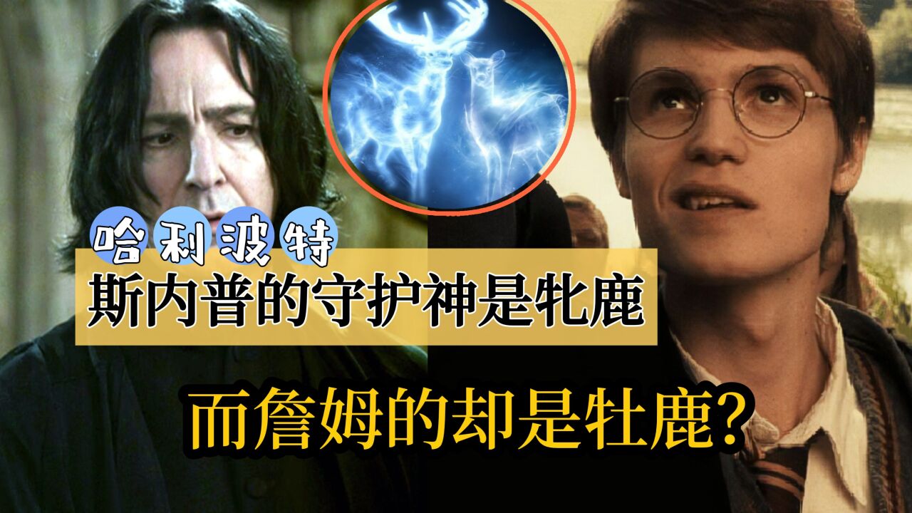 《哈利·波特》:为什么斯内普的守护神是牝鹿,詹姆是牡鹿?