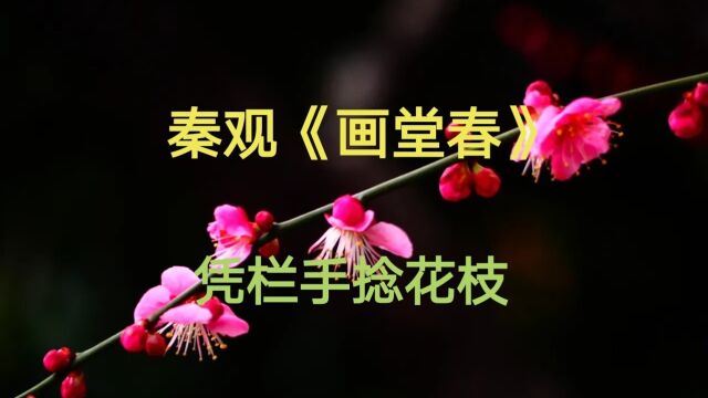 《画堂春》宋 秦观 凭阑手捻花枝.放花无语对斜晖.此恨谁知.