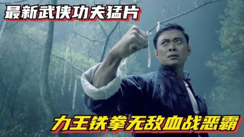 2023最新武侠功夫猛片，力王铁拳无敌血战恶霸，拳拳到肉招招致命