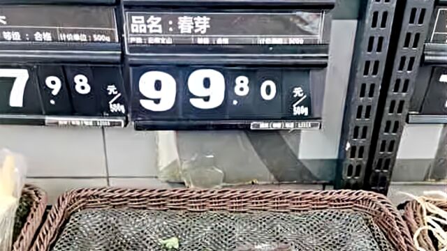 每斤138元的“春芽刺客”来了?种植户:今年产量少导致价格略贵