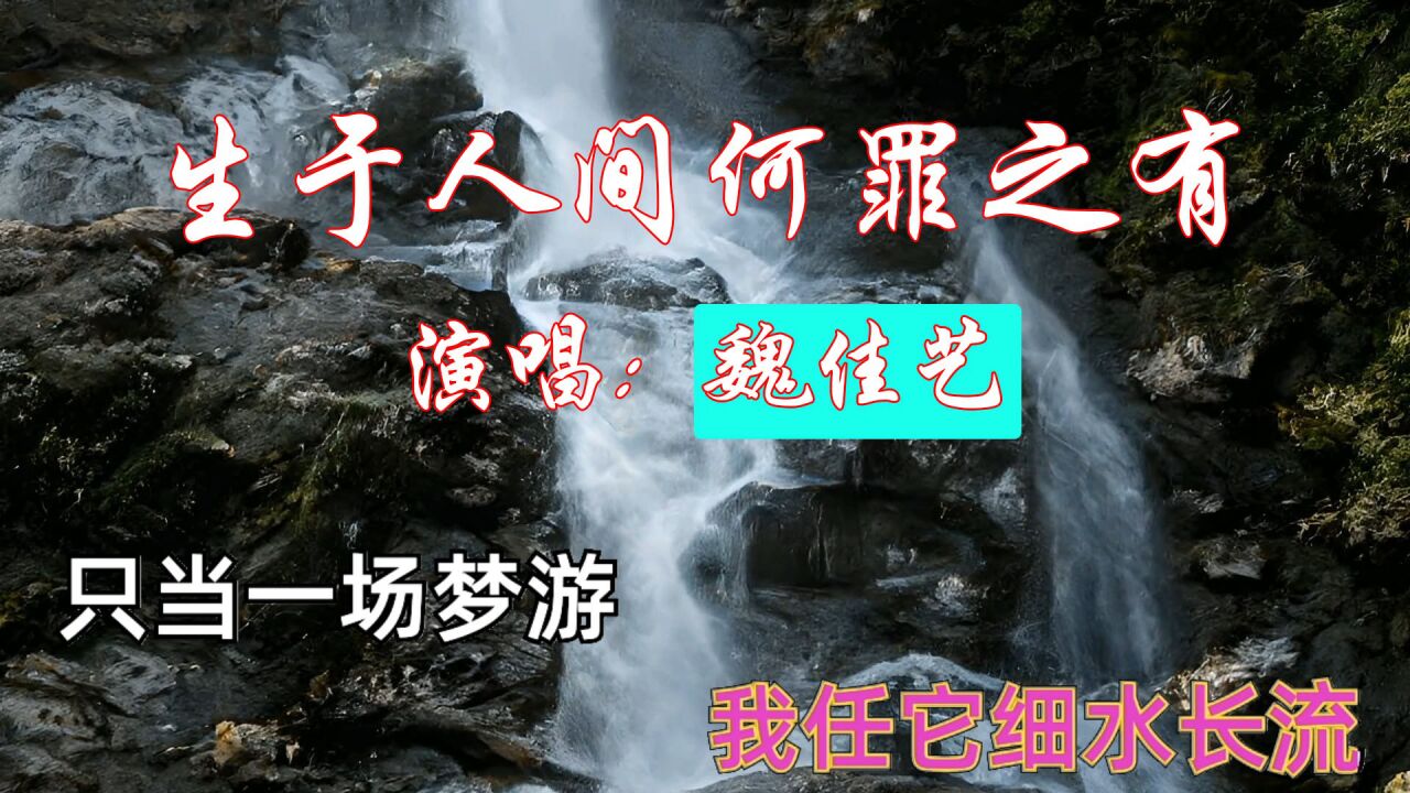 網紅歌曲《生於人間何罪之有》魏佳藝演唱,渾厚沙啞的聲音唱出了滄桑