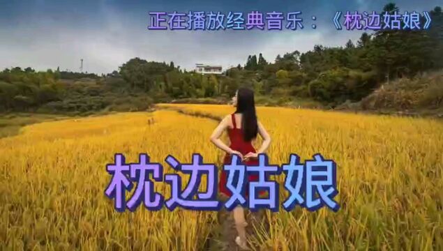 正在播放经典音乐《枕边姑娘》