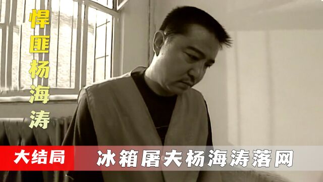 大结局:真实事件改编,冰箱屠夫杨海涛被捕,桩桩大案触目惊心!