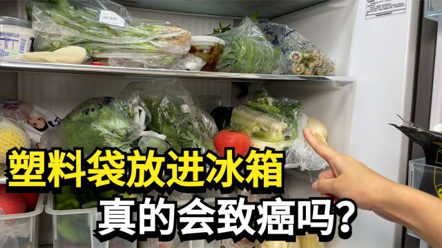 塑料袋放进冰箱,等于慢性自杀?塑料袋究竟有何危害