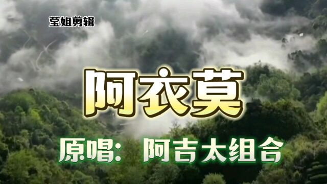 《阿衣莫》原唱阿吉太组合,民族歌曲,旋律优美动听