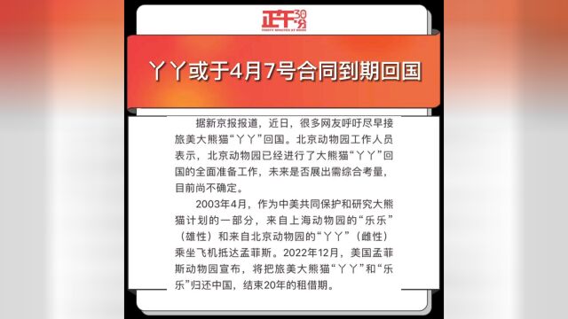 丫丫或于4月7号合同到期回国