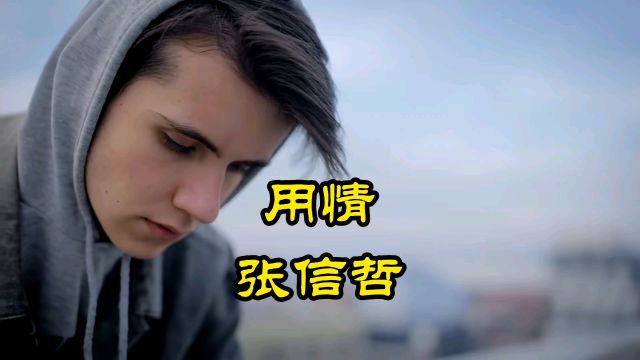 用情―张信哲