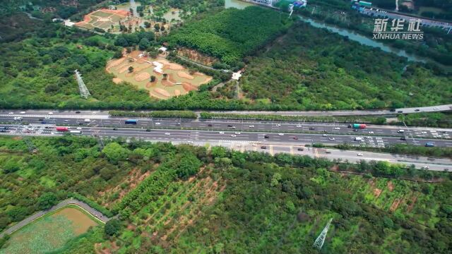 湖南:大数据支撑 “一站一策” 让新能源汽车充电更便捷