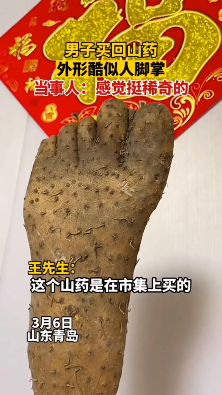 男子买回一个酷似脚掌的山药