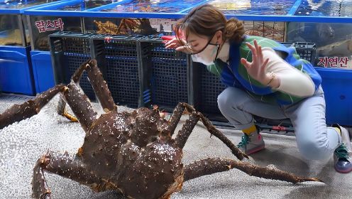 国外宰杀顶级海鲜，十多斤的帝王蟹雪蟹龙虾直接蒸，大家见识一下