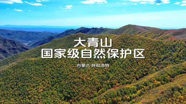 内蒙古ⷮŠ呼和浩特 大青山国家级自然保护区