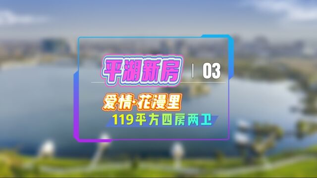 平湖城北经开区爱情花漫里,119平方的四房两卫怎么样?