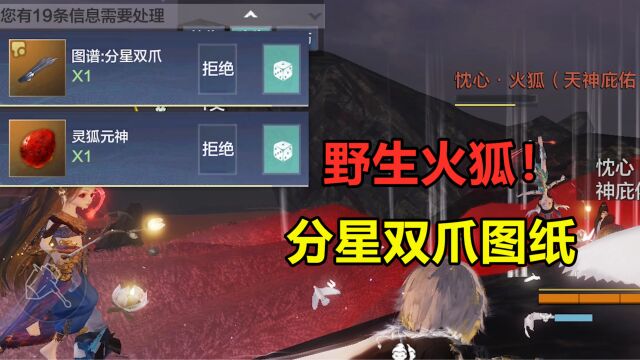 妄想山海:五万年野生火狐,还能掉分星双爪图!这就是差距吗