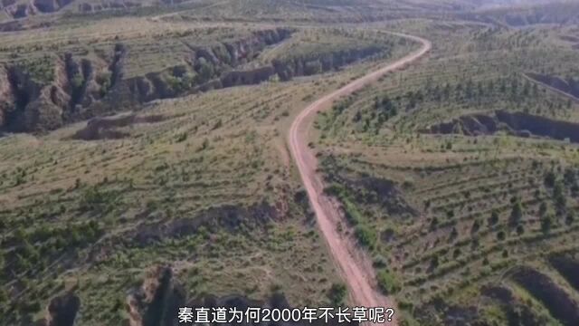 秦直道为何2000年不长草呢?专家翻开土层后惊叹,这能长草才怪