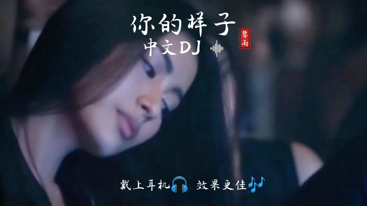 中文dj经典歌曲《你的样子》