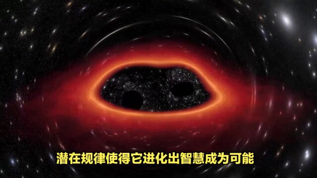 宇宙无意识的粒子是如何组建成有意识的生命