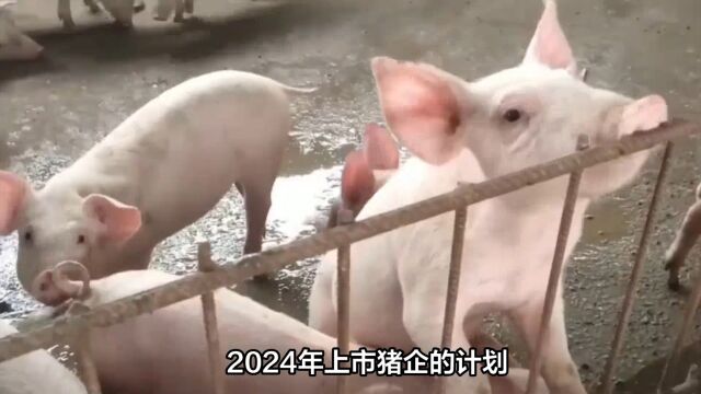 2024年生猪现货价格或再现低位