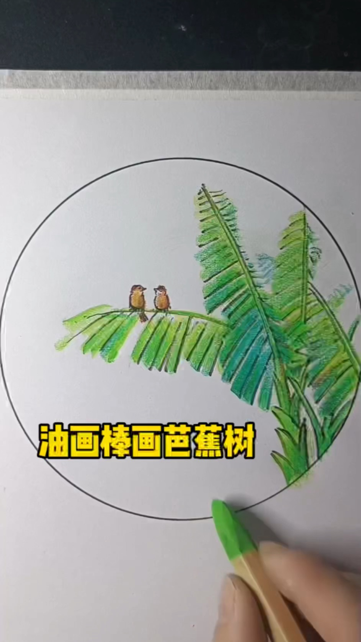 幼儿园的油画棒画芭蕉树,是不是很简单?