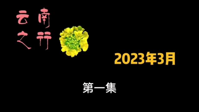 2023云南之行(一)