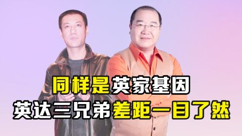 同是英家基因，把英达英壮英宁放在一起，差距立马就出来了？