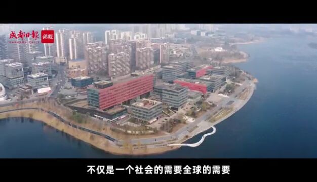 独家专访中国工程院院士石碧丨天府永兴实验室如何打好高能级“绿色转化”牌?