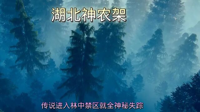 祖国湖北滴神农架景区