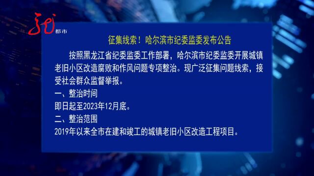 征集线索!哈尔滨市纪委监委发布公告