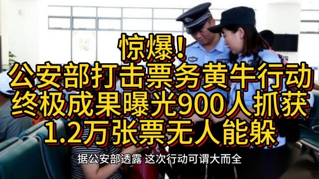 惊爆!公安部打击票务黄牛行动终极成果曝光:900人抓获、1.2万张票无人能躲