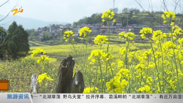 新昌:举行乡村艺术节活动