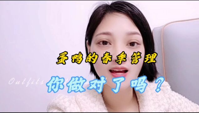 蛋鸭的春季管理,你做对了吗?