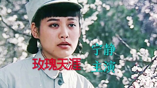 电影《玫瑰天涯》宁静主演,宁静演唱主题曲《红玫瑰》