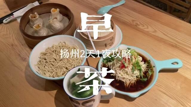 特种兵式旅游之扬州#我的旅行日记 #旅行vlog #扬州 #烟花三月下扬州