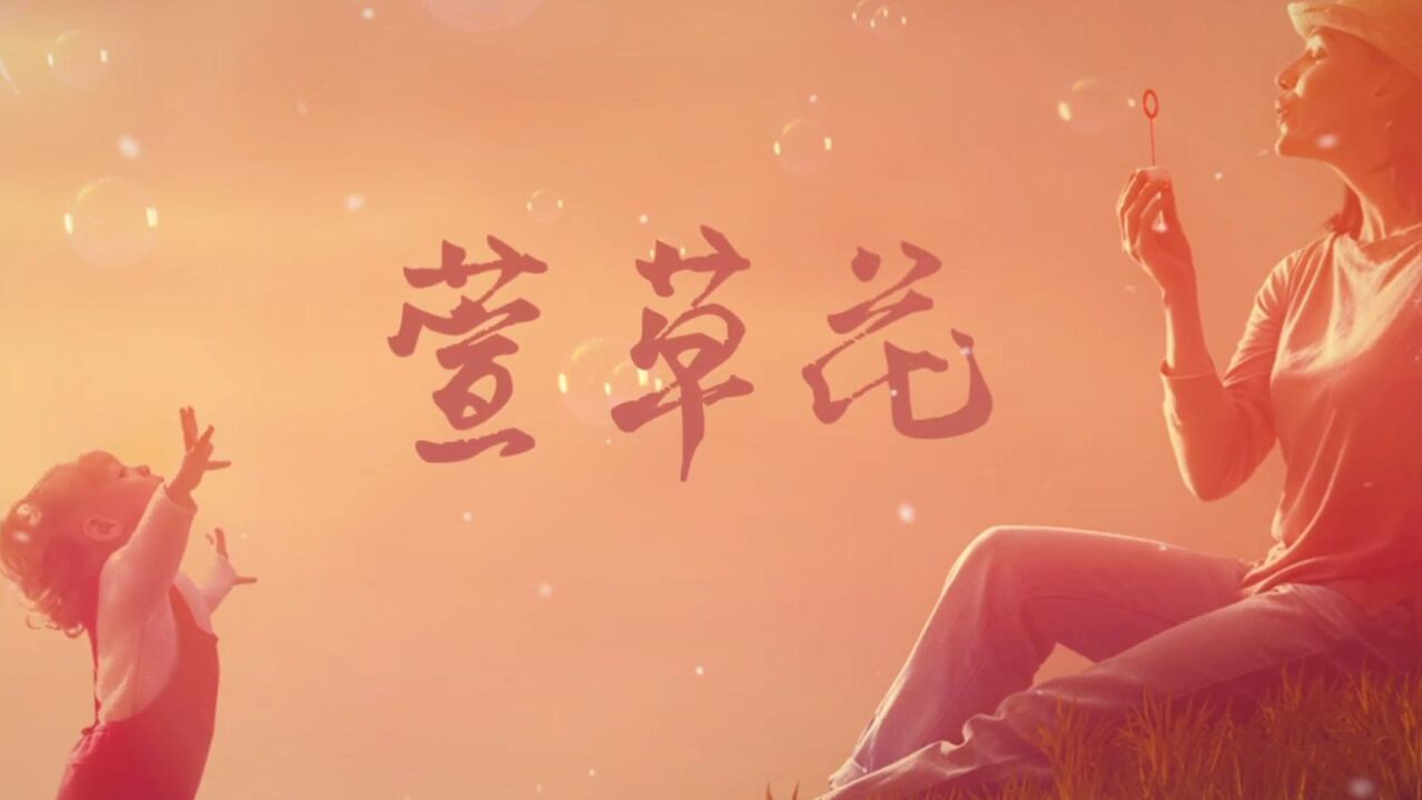 萱草花 配乐舞台背景母爱led大屏幕视频2237