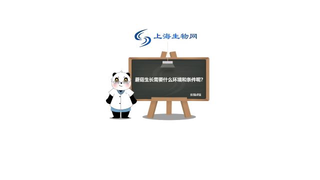 蘑菇生长要什么条件呢?你知道吗?来看看!