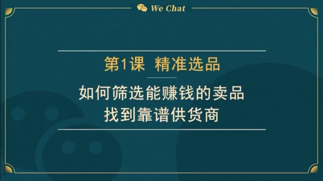 01 微信变现:根据选品包装人设,你像谁比你是谁更重要