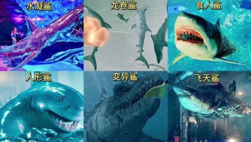 影视里的六版不同类型的鲨鱼你觉得哪个最奇葩？鲨鱼竟然在天上飞#大鲨鱼 #海洋动物 #远古生物 #史前巨兽