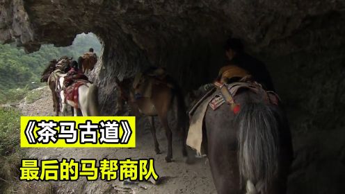 茶马古道上最后的马帮，行走在滇藏倒卖商品养家糊口