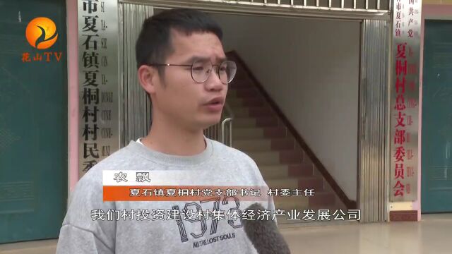 筑“暖巢” 引“雁”归!凭祥汇智聚才促发展