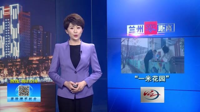 【兰州零距离】认养“一米花园” “种”出社区新风貌