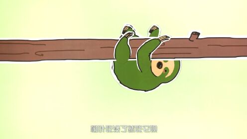 第27集北极熊_毛茸茸 的星球_1080p在线观看平台