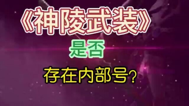 《神陵武装》是否真的存在手游内部号