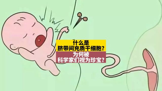 国内权威干细胞机构:什么是脐带间充质干细胞?为何被科学家们视为珍宝?