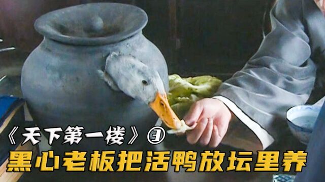 黑心老板为催肥鸭子,偷学同行把鸭舍顶掀掉,怎料却中了对方的计