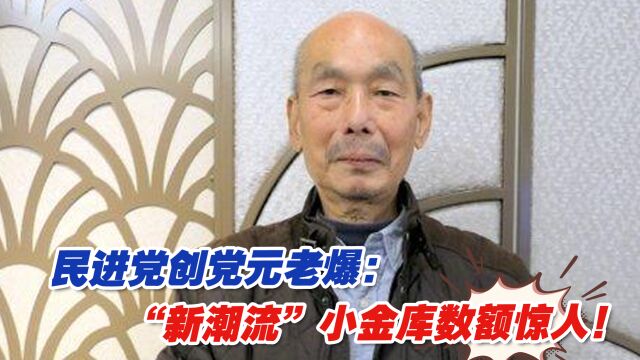 民进党创党元老林正杰爆:“新潮流”小金库数额惊人!