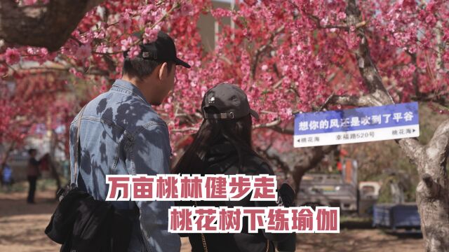 视频│万亩桃林健步走,桃花树下练瑜伽