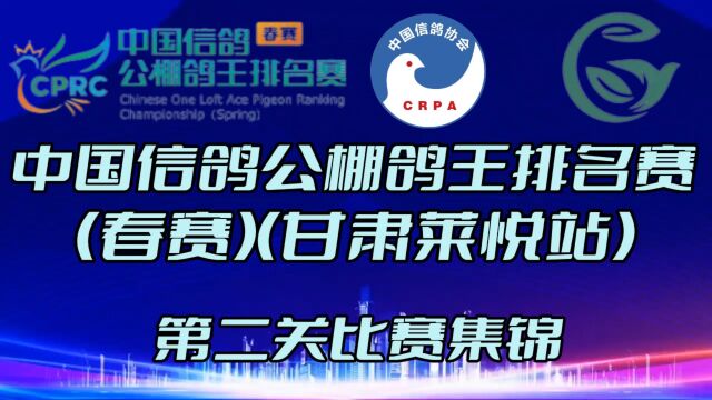 中国信鸽公棚鸽王排名赛(甘肃莱悦站)第二关比赛集锦