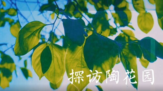 探访陶花园——济南市天桥区行知幼儿园