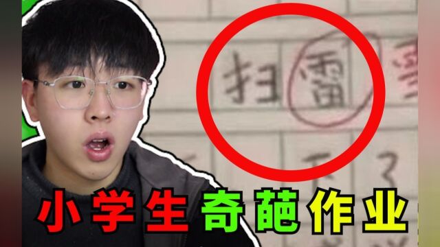 【小学生作业】带你了解不为人知的小学生