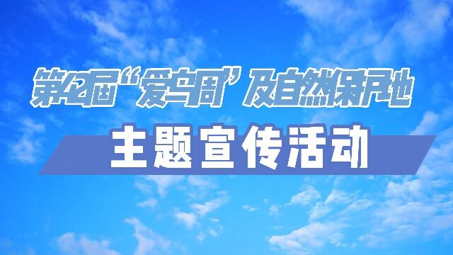 山西绵山省级自然保护区管理局开展2023年“爱鸟周”宣传活动