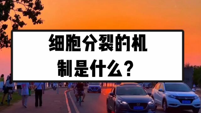 细胞分裂的机制是什么?